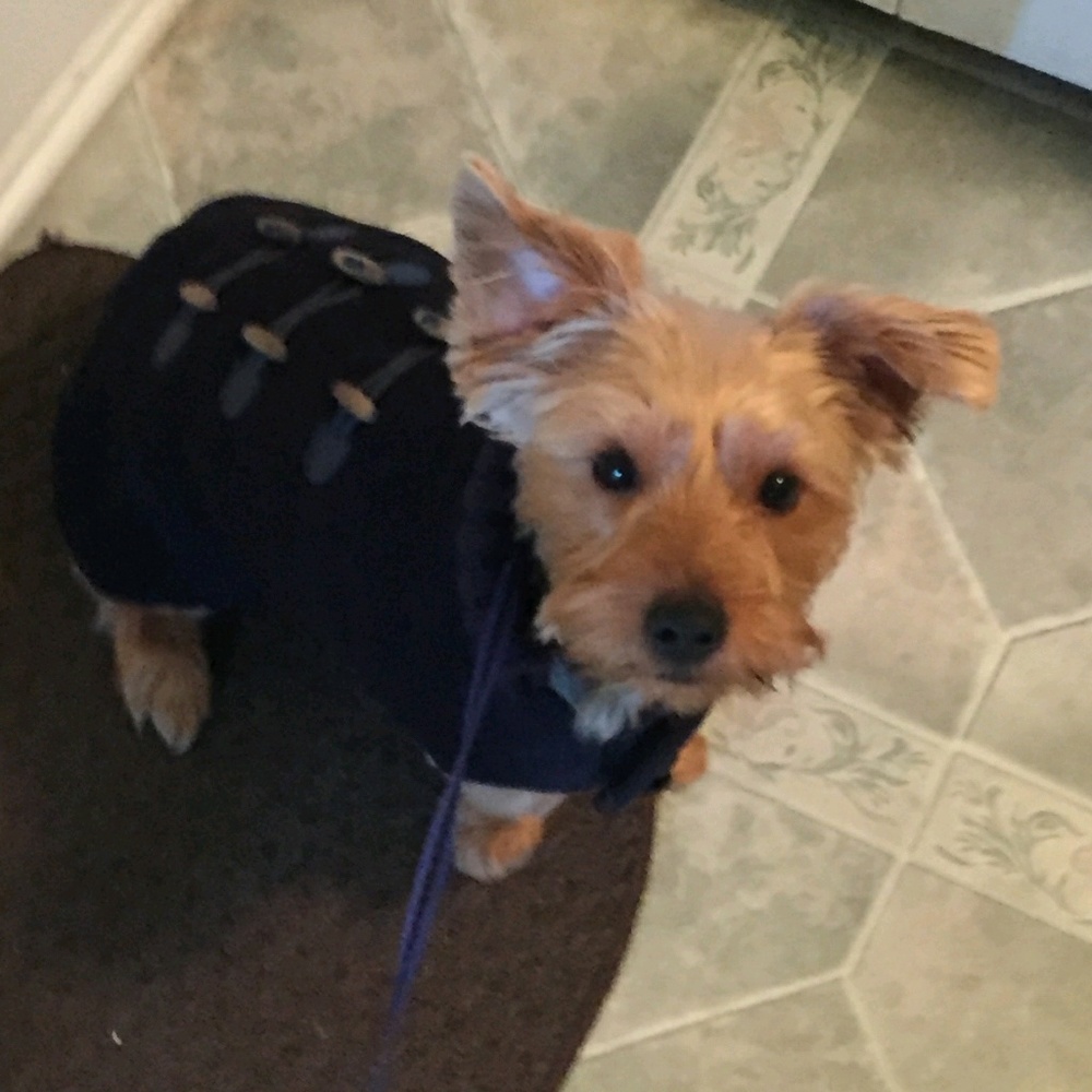 Meet your Posher, Carlos